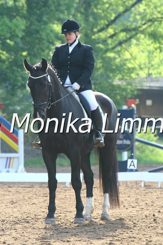 104M5190_Gigolo_Dressur E.JPG